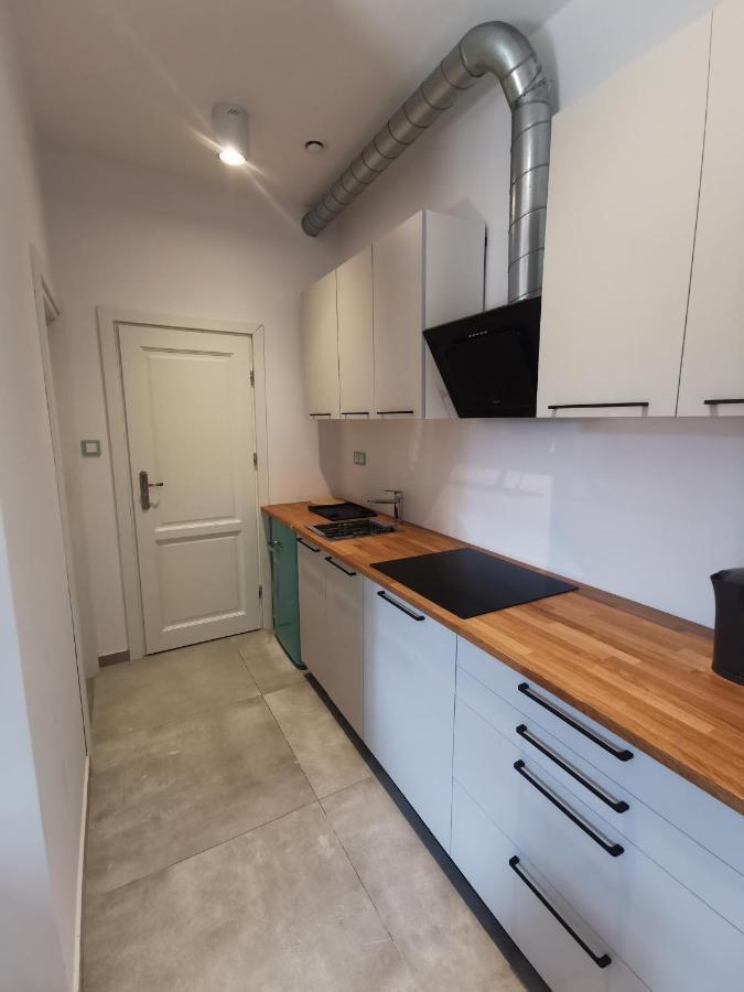 Nowe Apartamenty Zamkowa Vis A Vis Wawelu Cracovia Exterior foto